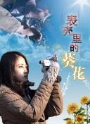 玩转武道修仙：如何提升你的角色属性